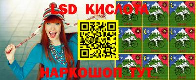 гашик Камышлов