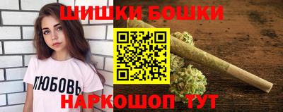 гашик Камышлов