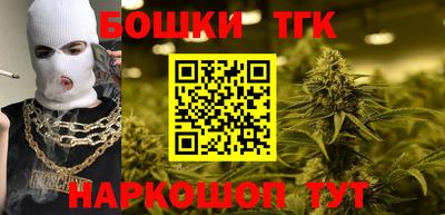 гашик Камышлов