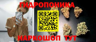 скорость Канаш