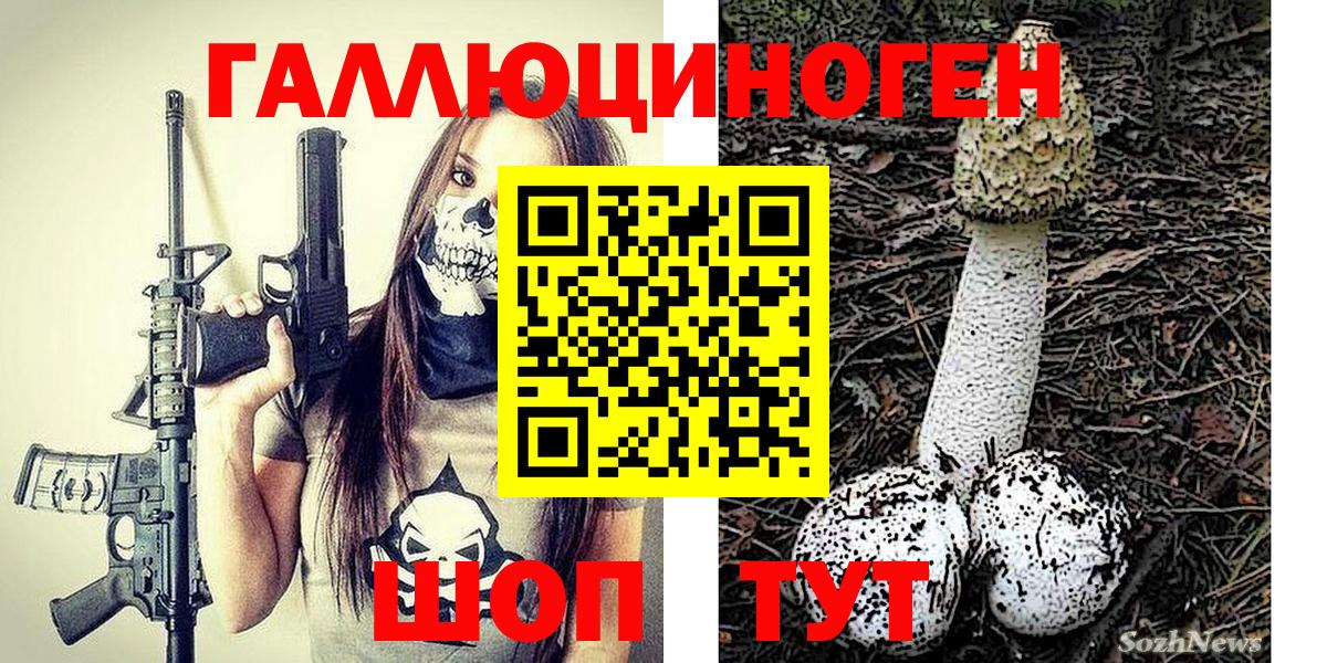 Галлюциногенные грибы Psilocybe Корсаков